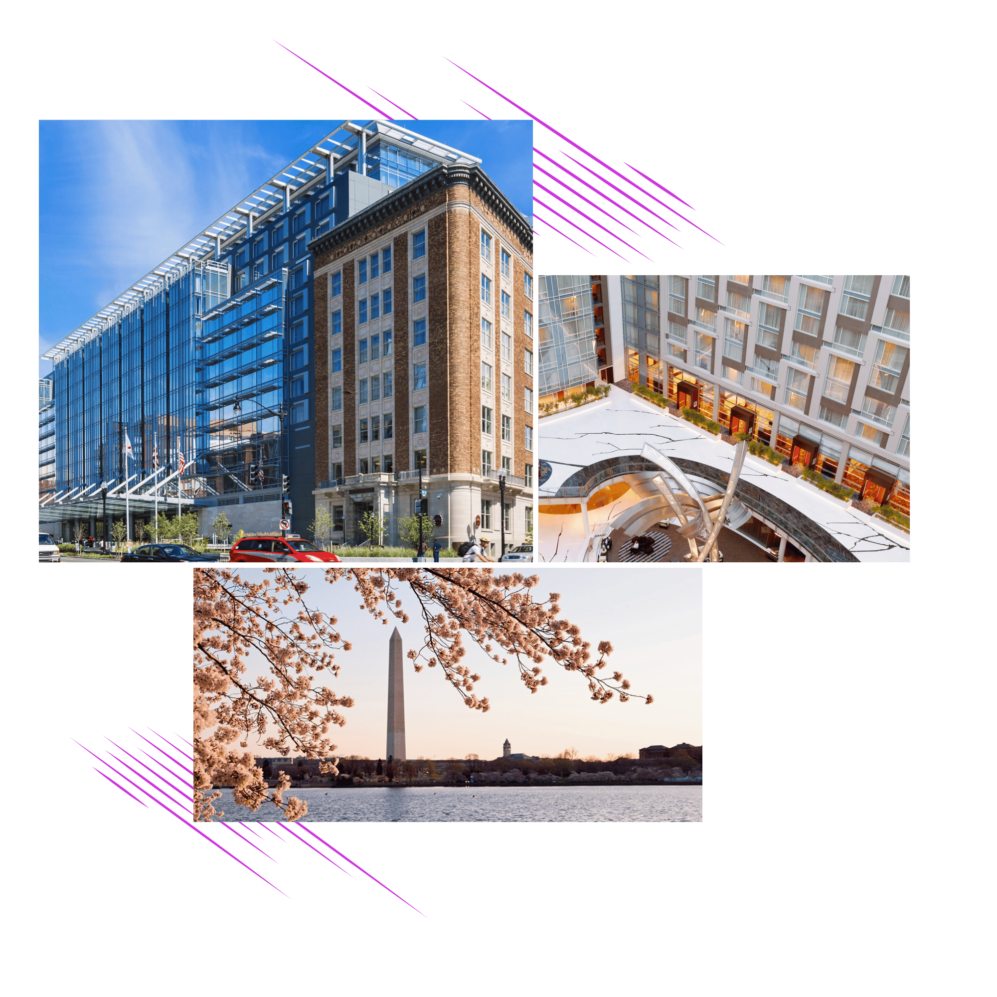 Untitled design (17)-1