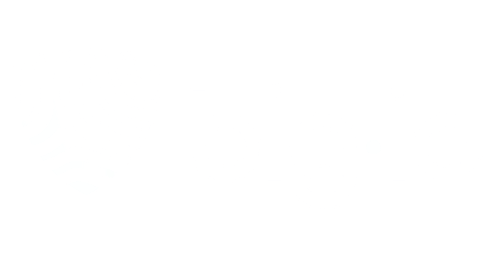 bigid-logo-horizontal-white-l-600