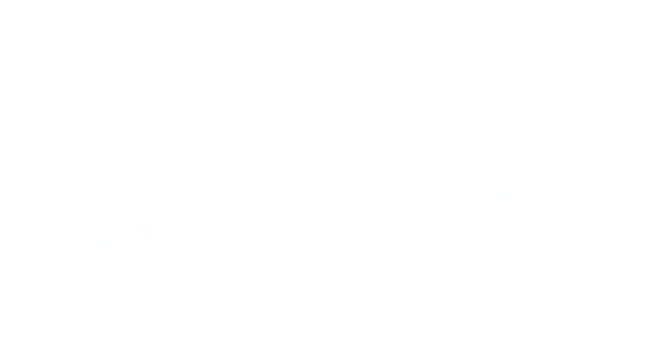 bigid-logo