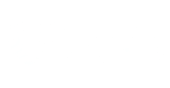 bigid logo