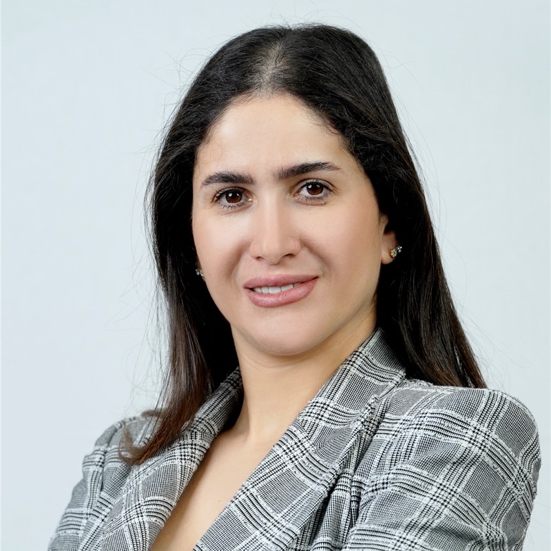 nancy-ghawanmeh-bigid