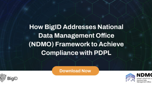 2023-BigID-Social-PRI-NDMO-Requirements-15-Domains_1200x628-1-506x288