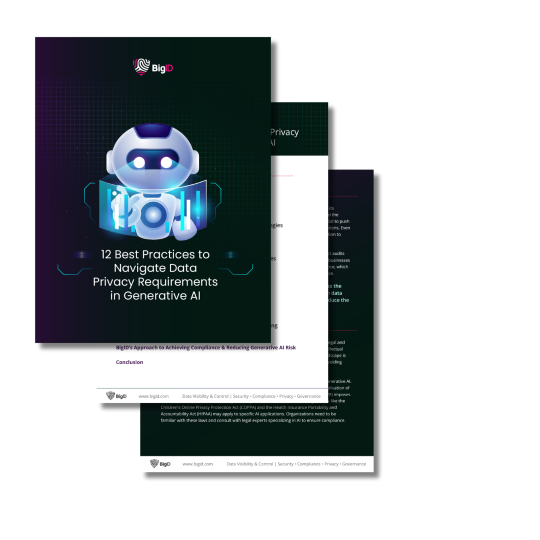 IMAGE - 12 best practices for privacy in gen ai