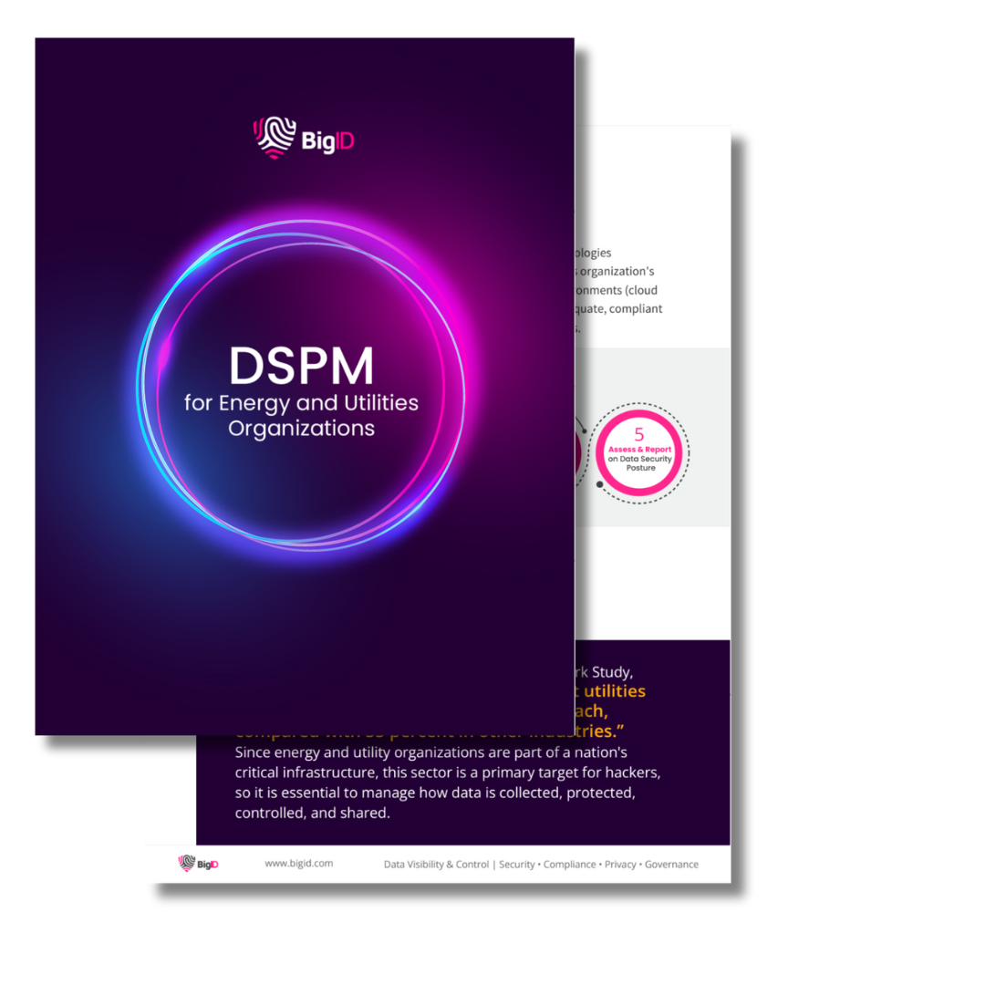 IMAGE - DSPM for utilities and energy (1)