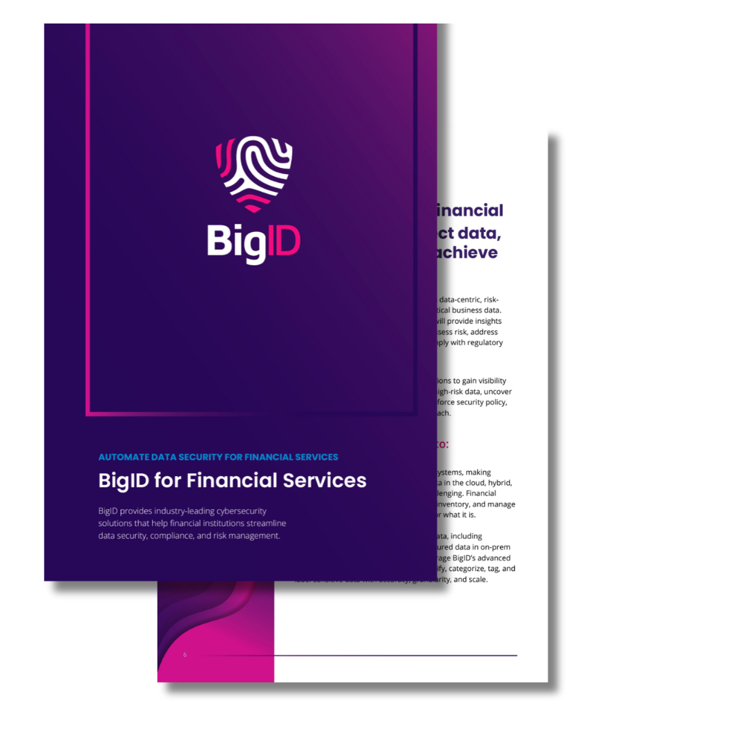 IMAGE - bigid for finserv