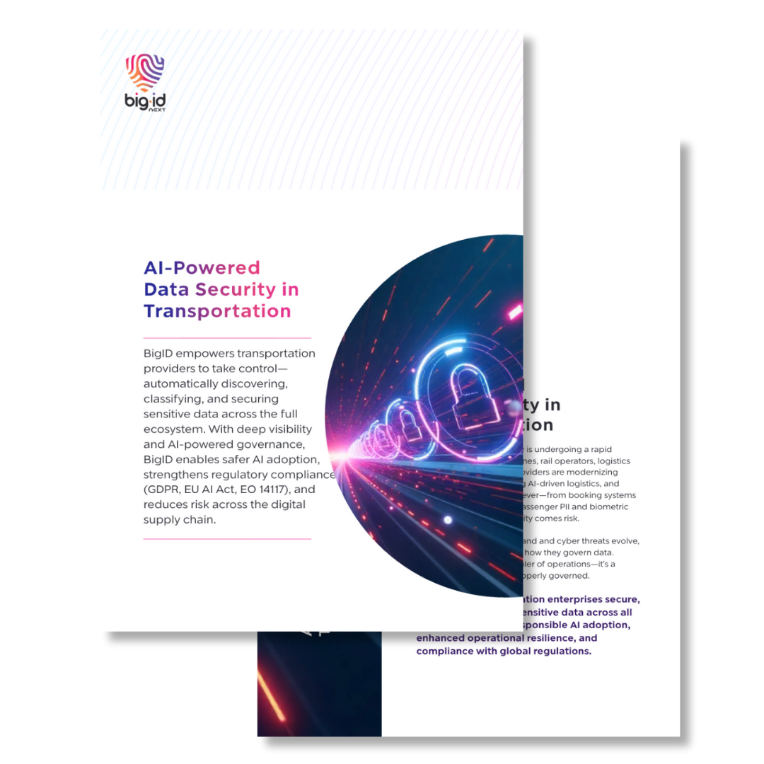 bigid-ai-data-security-transportation