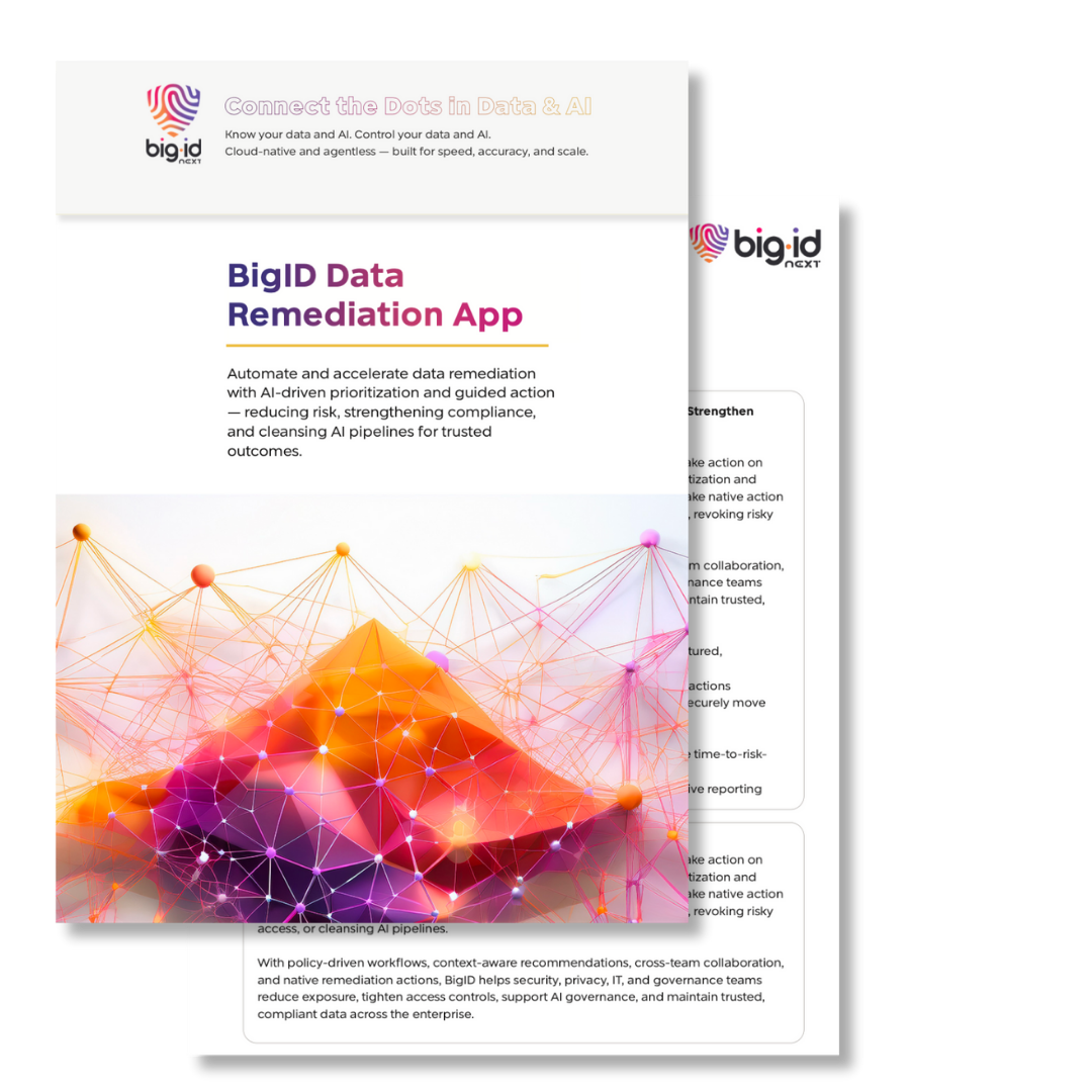 bigid data remediation
