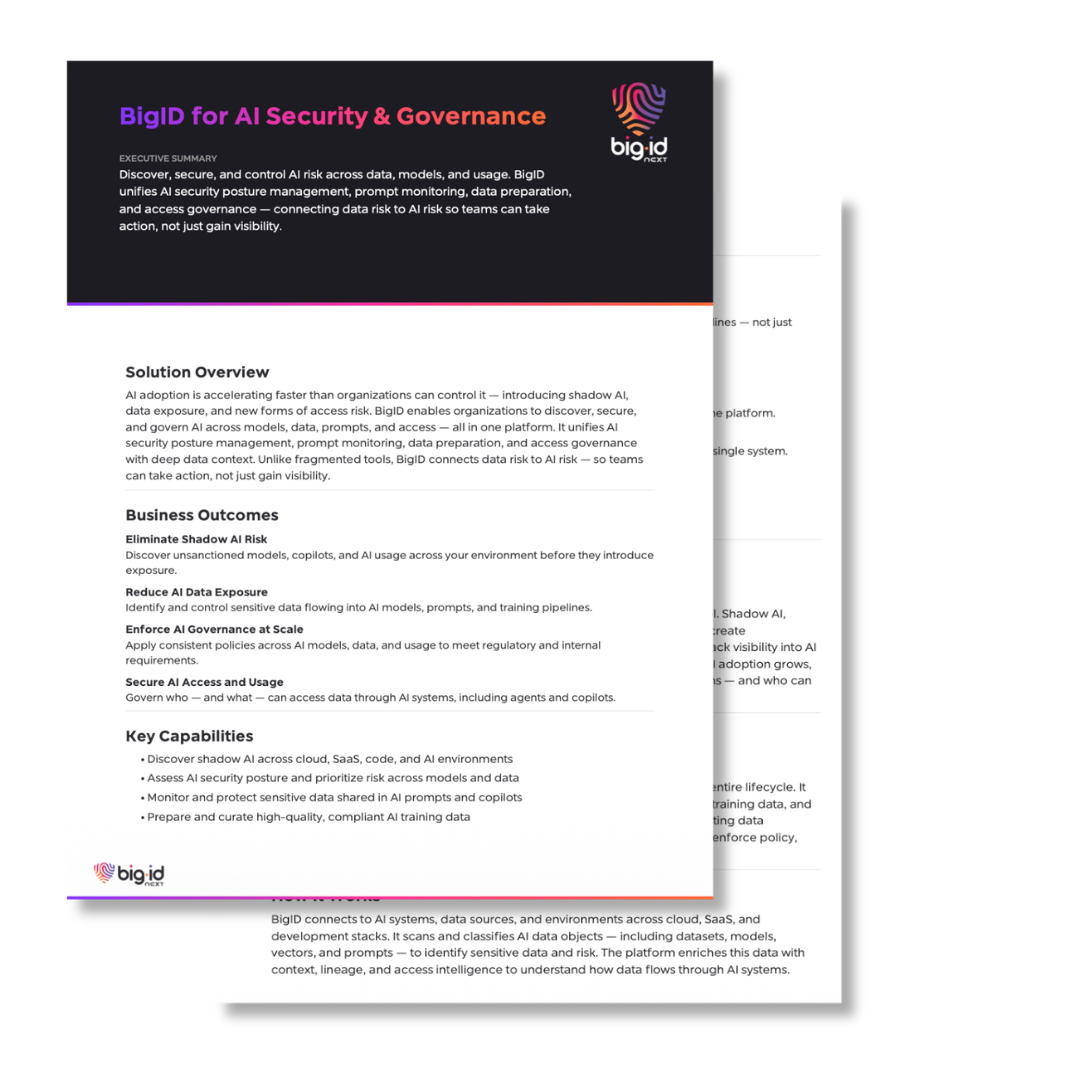 bigid for ai security and gov