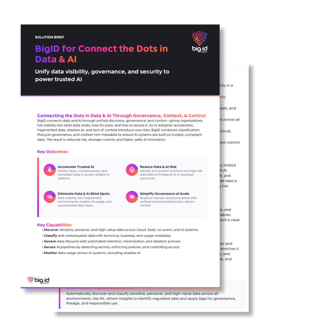 bigid for data and ai