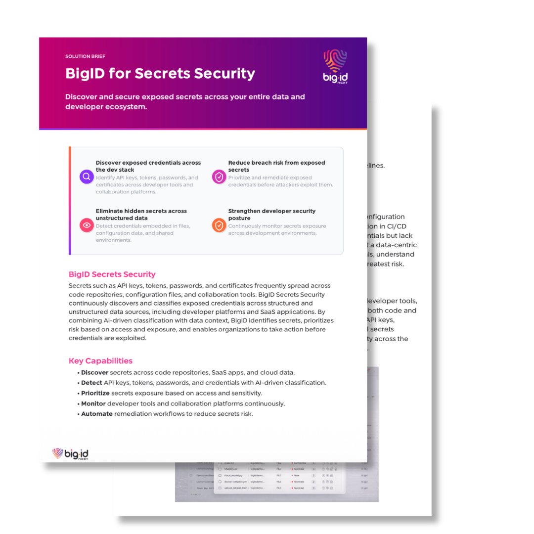 bigid for secrets security