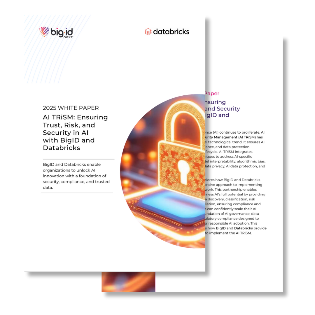 bigid-databricks-aitrism-whitepaper