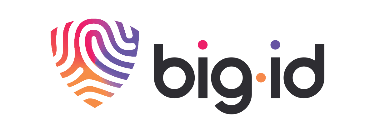 bigid-logo