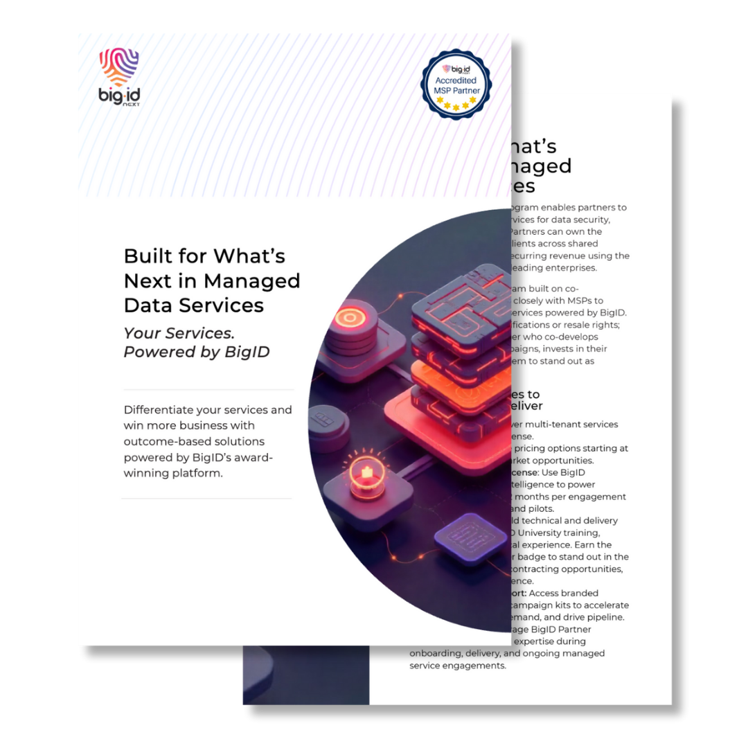 bigid-msp-solution-brief