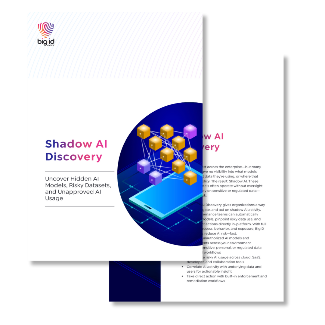 bigid-shadow-ai-discovery-sb