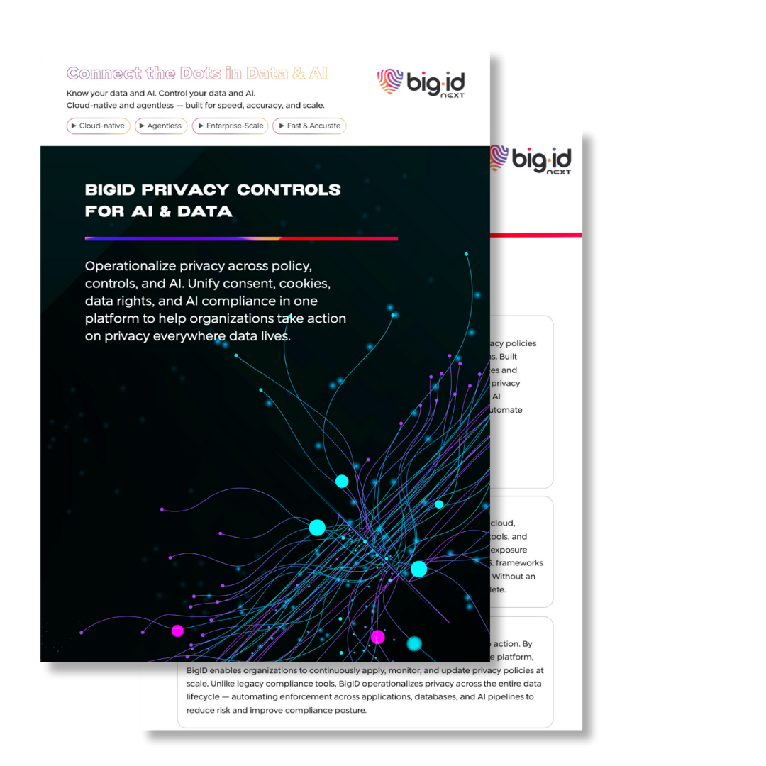 privacy controls for data and ai