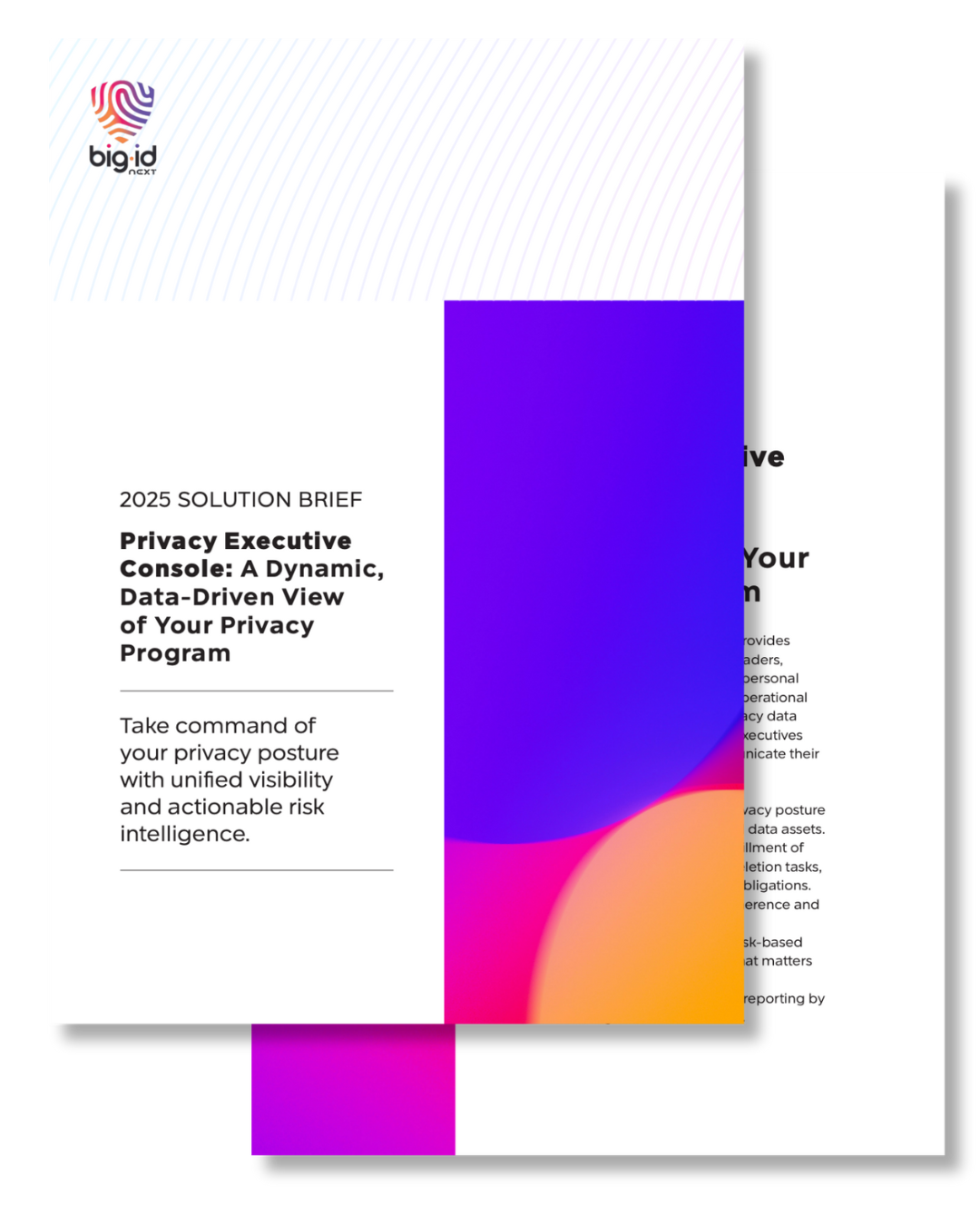 privacy executive console solution brief