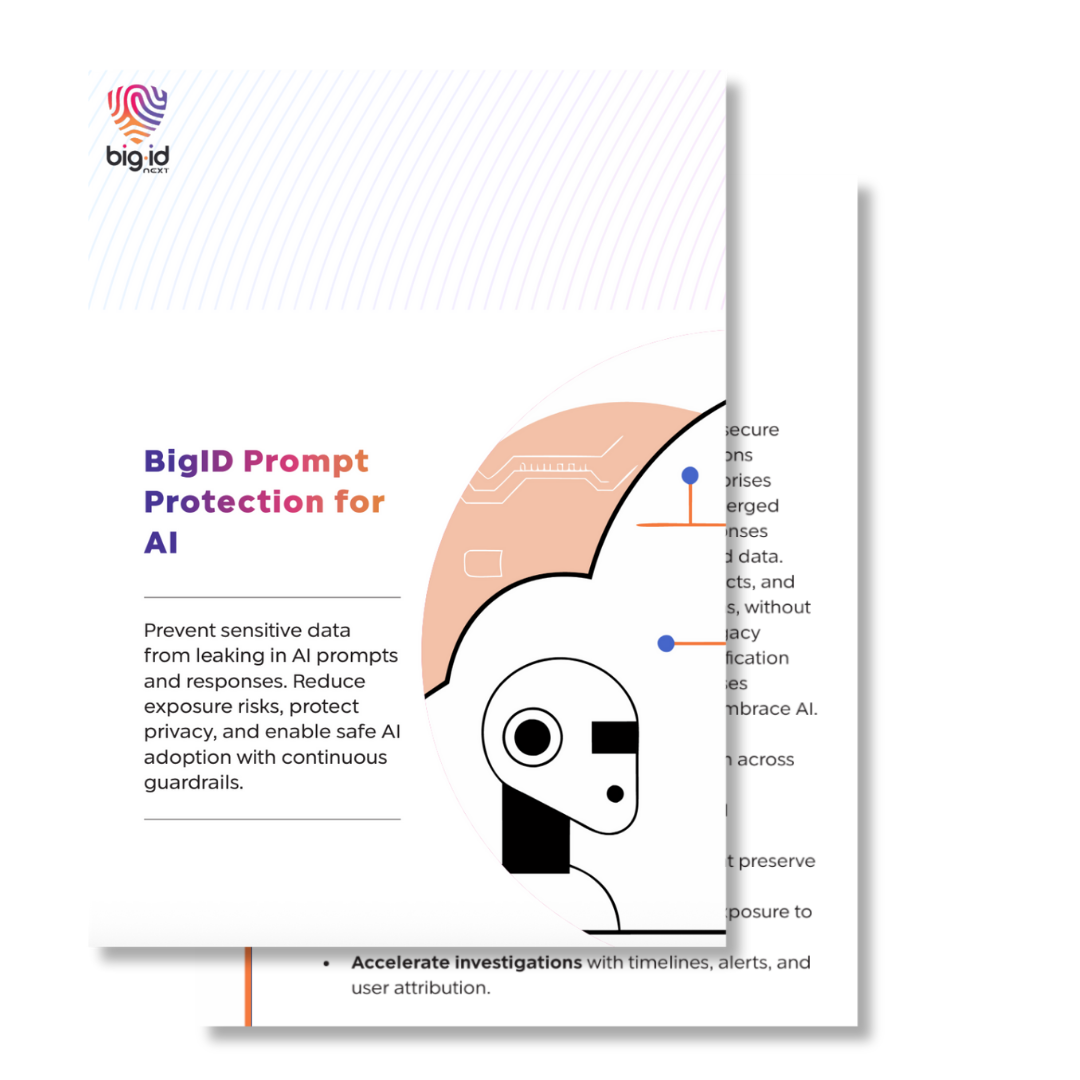 prompt protection for AI