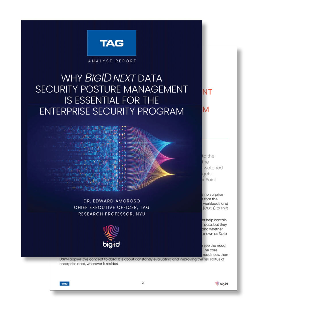 tag analyst report_bigid dspm