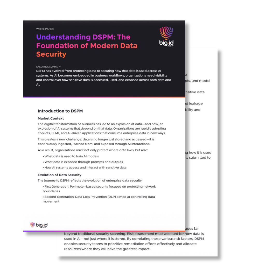 understanding dspm-1